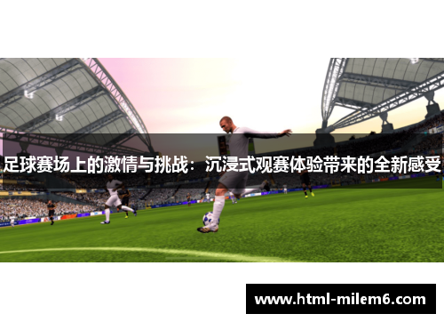 足球赛场上的激情与挑战：沉浸式观赛体验带来的全新感受