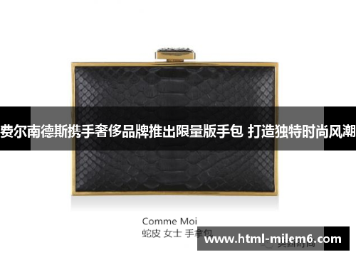 费尔南德斯携手奢侈品牌推出限量版手包 打造独特时尚风潮