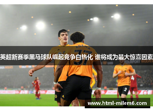 英超新赛季黑马球队崛起竞争白热化 谁将成为最大惊喜因素