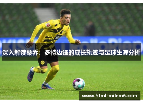 深入解读桑乔：多特边锋的成长轨迹与足球生涯分析