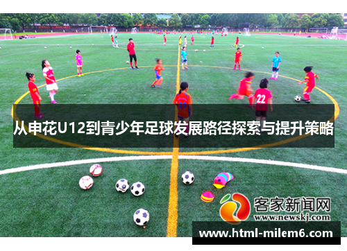 从申花U12到青少年足球发展路径探索与提升策略