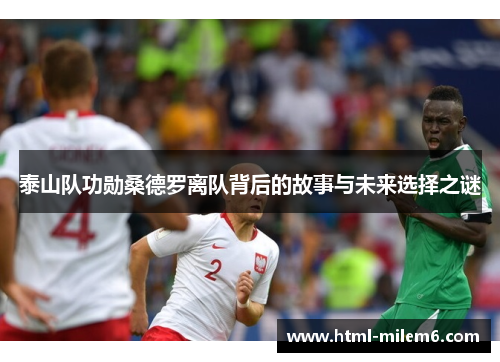 泰山队功勋桑德罗离队背后的故事与未来选择之谜