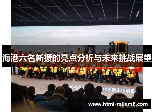 海港六名新援的亮点分析与未来挑战展望