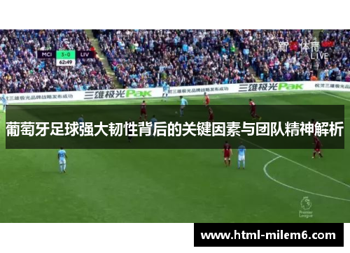 葡萄牙足球强大韧性背后的关键因素与团队精神解析