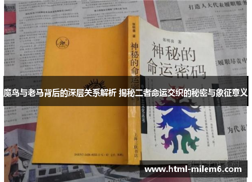 魔鸟与老马背后的深层关系解析 揭秘二者命运交织的秘密与象征意义