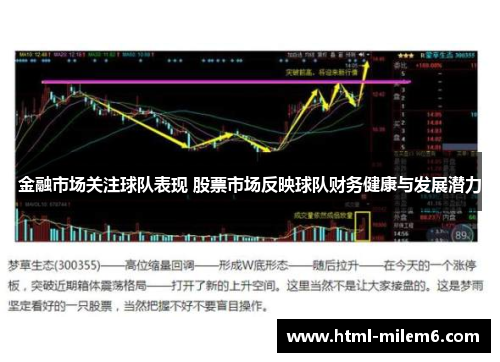 金融市场关注球队表现 股票市场反映球队财务健康与发展潜力